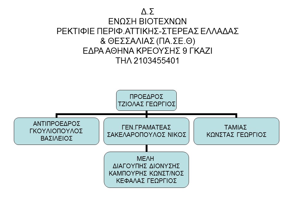 Slide5